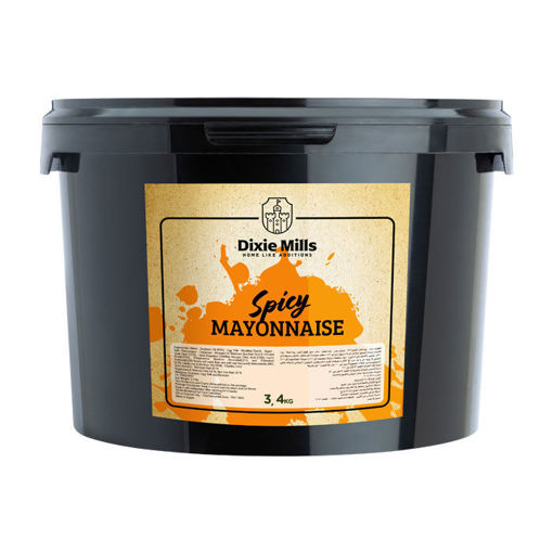 Picture of Spicy Mayonnaise - 3.4 Kilo